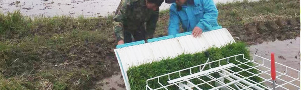 強大的産品質量 包您滿意