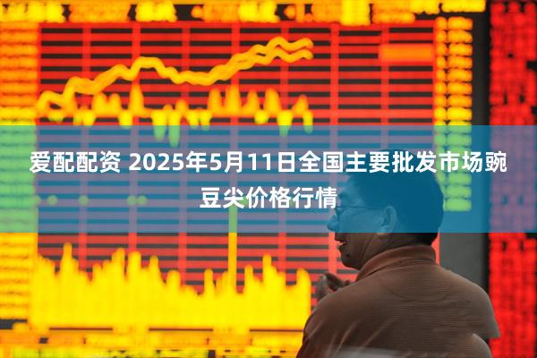 爱配配资 2025年5月11日全国主要批发市场豌豆尖价格行情