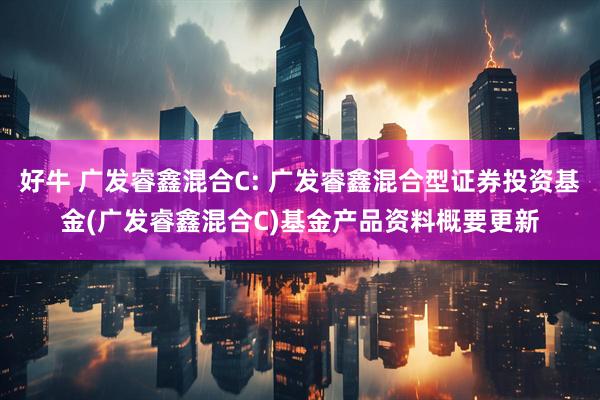 好牛 广发睿鑫混合C: 广发睿鑫混合型证券投资基金(广发睿鑫混合C)基金产品资料概要更新