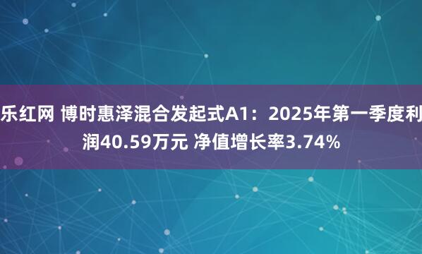 乐红网 博时惠泽混合发起式A1：2025年第一季度利润40.59万元 净值增长率3.74%