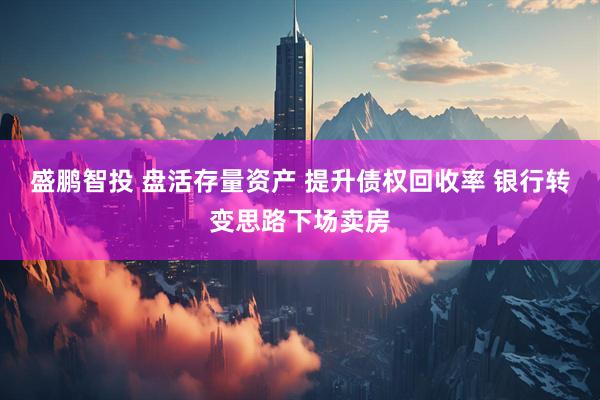 盛鹏智投 盘活存量资产 提升债权回收率 银行转变思路下场卖房
